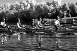 карбон3 карбон3